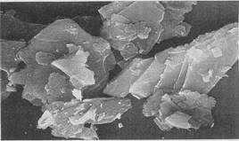 Talc microscopic structure 